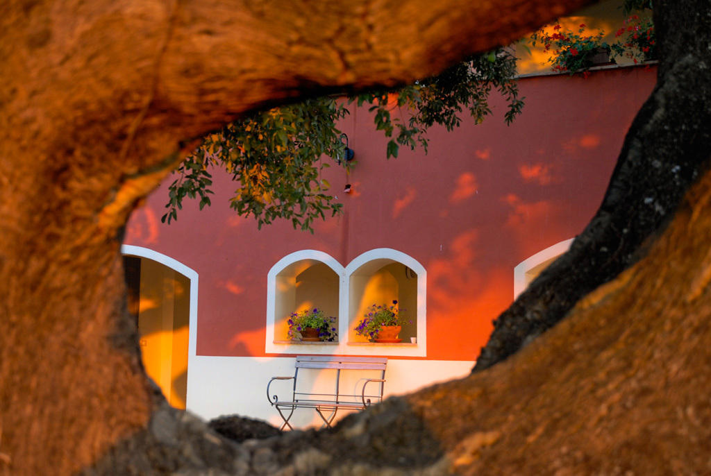 Giardino Dei Sugheri Scarlino Εξωτερικό φωτογραφία