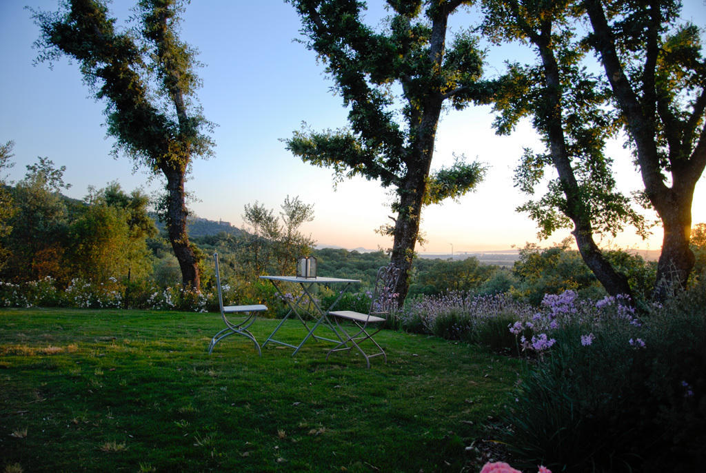 Giardino Dei Sugheri Scarlino Εξωτερικό φωτογραφία