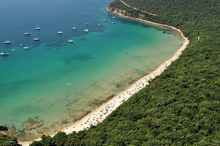 Giardino Dei Sugheri Scarlino Εξωτερικό φωτογραφία