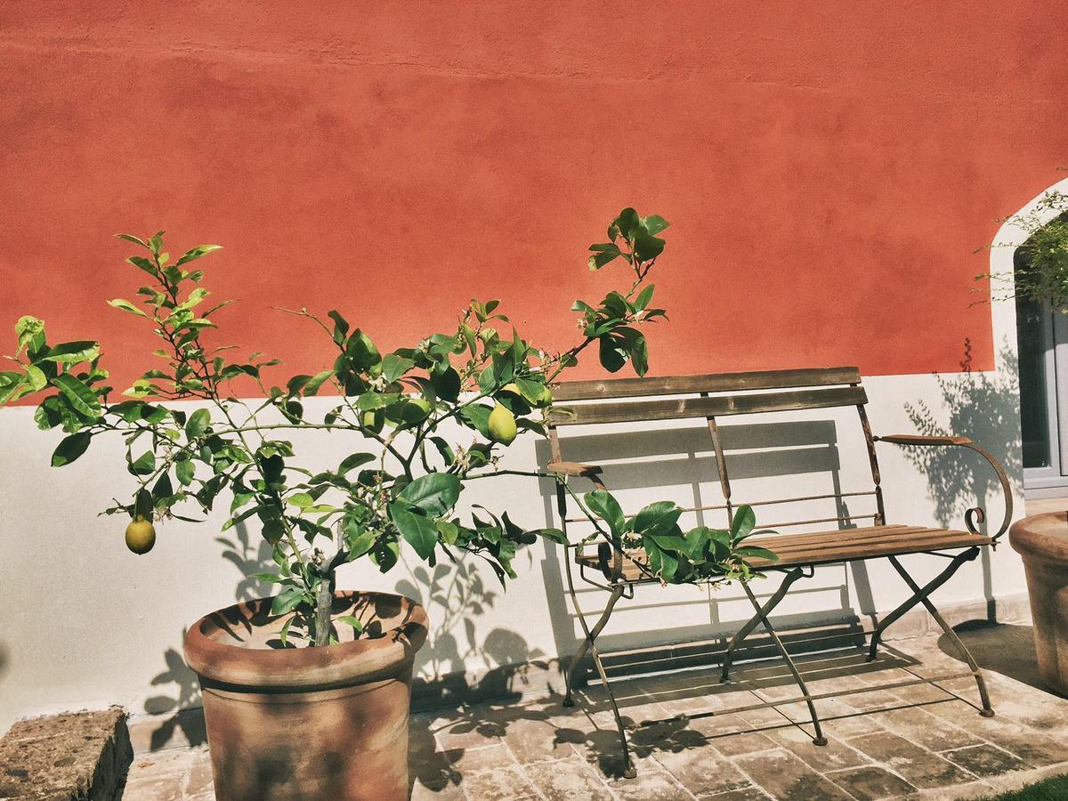 Giardino Dei Sugheri Scarlino Εξωτερικό φωτογραφία